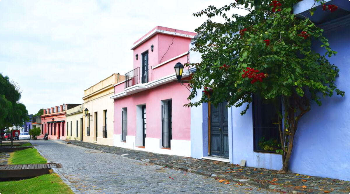 ¿Cuáles son las opciones de vehículos más populares en Colonia Del Sacramento?